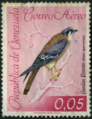 Venezuela - 1962 - Aves Aereo Gavilan Primito Falco sparverius - 0.05Bs