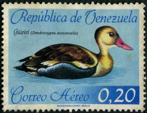 Venezuela - 1962 - Aves Aereo Guiriri Dendrocygna autumnalis - 0.20Bs