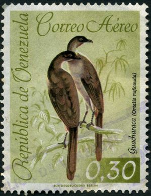 Venezuela - 1962 - Aves Aereo Guacharaca Ortalis ruficauda - 0.30Bs