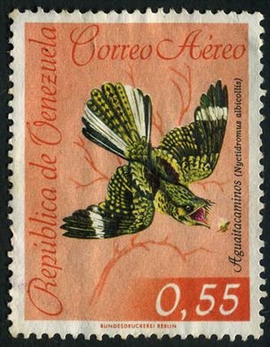 Venezuela - 1962 - Aves Aereo Aguaitacaminos Nyctidromus albicollis - 0.55Bs