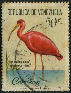 Venezuela - 1962 - Fauna Venezolana Aves - Corocoro Sidra Eudocimus ruber - 50C