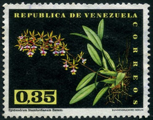 Venezuela - 1962 - Orquideas - Epidendrum stamfordianum - 0.35Bs