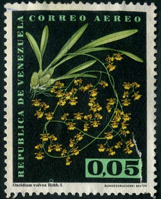 Venezuela - 1962 - Orquideas - Oncidium volvox - 0.05Bs