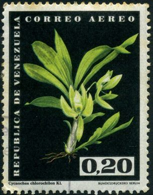 Venezuela - 1962 - Orquideas - Cycnoches chlorochilon - 0.20Bs