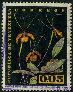 Venezuela - 1962 - Orquideas - Oncidium papilio - 0.05Bs