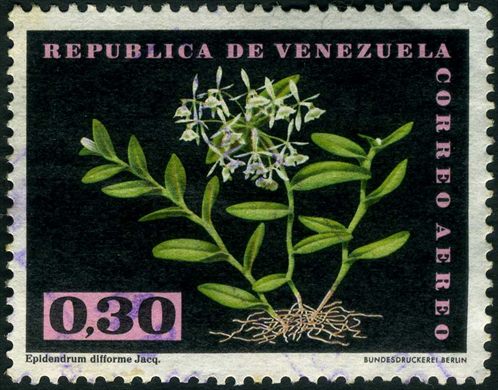 Venezuela - 1962 - Orquideas - Epidendrum difforme - 0.30Bs
