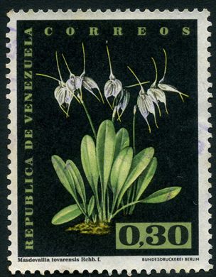 Venezuela - 1962 - Orquideas - Masdevallia tovarensis - 0.30Bs
