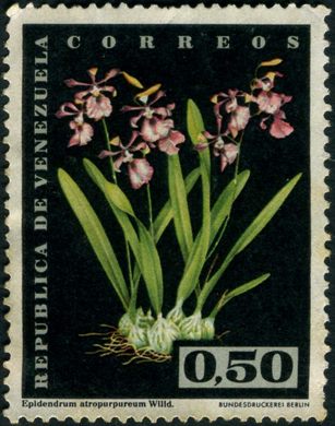 Venezuela - 1962 - Orquideas - Epidendrum atropurpureum - 0.50Bs
