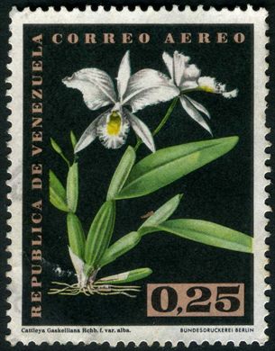 Venezuela - 1962 - Orquideas - Cattleya gaskelliana var alba - 0.25Bs