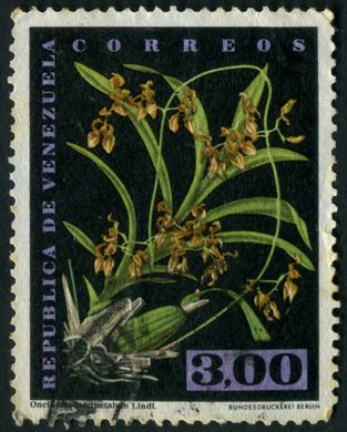 Venezuela - 1962 - Orquideas - Oncidium falcipetalum - 3Bs