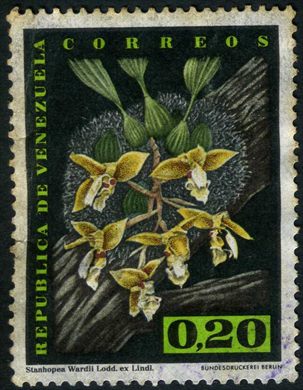 Venezuela - 1962 - Orquideas - Stanhopea wardii - 0.20Bs