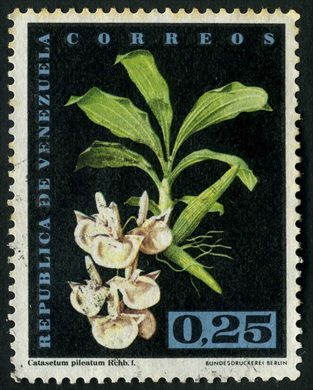 Venezuela - 1962 - Orquideas - Catasetum pileatum - 0.25Bs