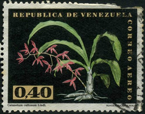 Venezuela - 1962 - Orquideas - Catasetum callosum - 0.40Bs