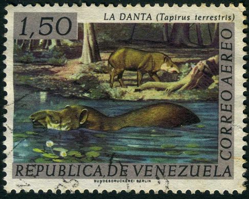 Venezuela - 1963 - Fauna - La Danta Tapirus terrestris - 1.50Bs