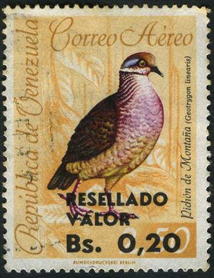 Venezuela - 1965 - Aves Aereo Pichon de Montana Geotrygon linearis Resellado Valor - 0.20Bs sobre 0.50Bs