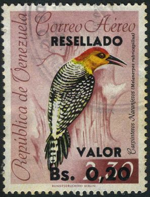 Venezuela - 1965 - Aves Aereo Carpinteros Naranjeros Melanerpes rubricapillus Resellado Valor - 0.20Bs sobre 2.30Bs