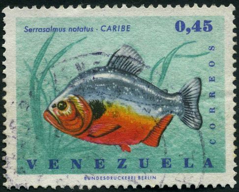 Venezuela - 1966 - Peixes Caribe Serrasalmus notatus - 0.45Bs