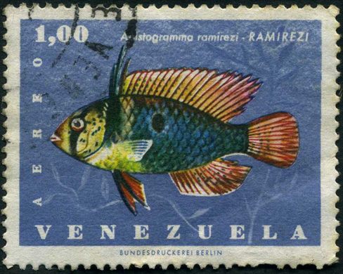 Venezuela - 1966 - Peces - Apistogramma ramirezi - 1Bs