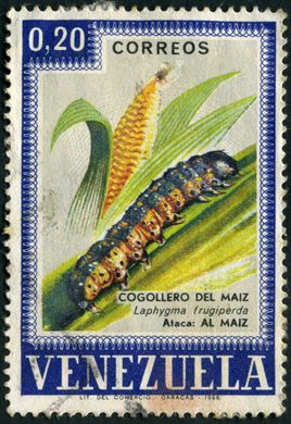 Venezuela - 1968 - Pragas Agricolas Cogollero del Maiz Laphygma frugiperda - 0.20Bs