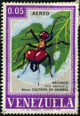 Venezuela - 1968 - Pragas Agricolas Aereo Bachaco Atta sexdens - 0.05Bs