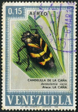 Venezuela - 1968 - Pragas Agricolas Aereo Candelilla de la Cana Aeneolamia varia - 0.15Bs
