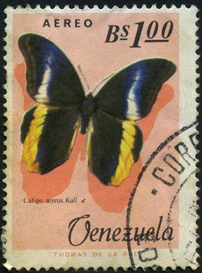 Venezuela - 1968 - Mariposas - Caligo atreus - 1Bs