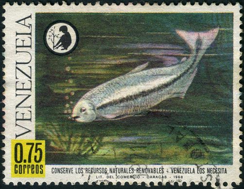 Venezuela - 1968 - Conserve los Recursos Naturales Renovables - Pez Plateado - 0.75Bs