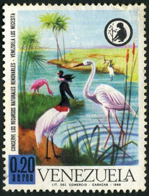 Venezuela - 1968 - Conserve los Recursos Naturales Renovables - Flamencos y Aves Acuaticas - 0.20Bs Aereo