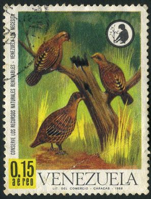 Venezuela - 1968 - Conserve los Recursos Naturales Renovables - Perdices - 0.15Bs Aereo