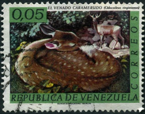 Venezuela - 1969 - Fauna Venado Caramerudo Odocoileus virginianus - 0.05Bs