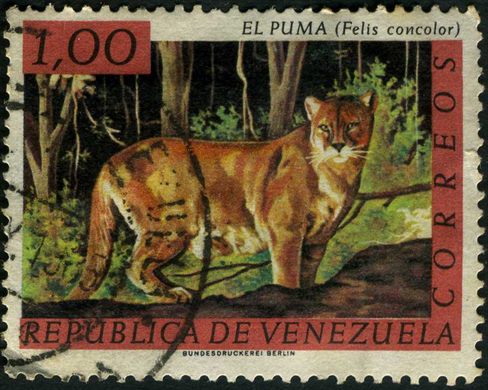 Venezuela - 1969 - Fauna El Puma Felis concolor - 1Bs