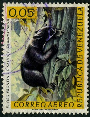 Venezuela - 1969 - Fauna Aereo Oso Frontino o Salvaje Tremarctos ornatus - 0.05Bs