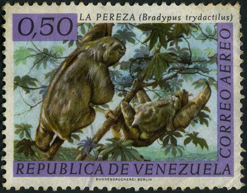 Venezuela - 1969 - Fauna Aereo La Pereza Bradypus tridactylus - 0.50Bs