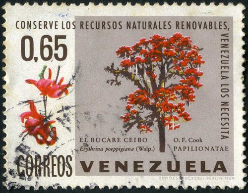 Venezuela - 1969 - Conserve los Recursos Naturales Renovables - Arboles - Bucare Ceibo Erythrina poeppigiana - 0.65Bs