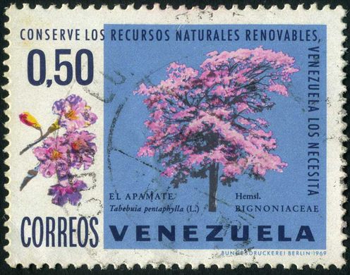 Venezuela - 1969 - Conserve los Recursos Naturales Renovables - Arboles - Apamate Tabebuia pentaphylla - 0.50Bs