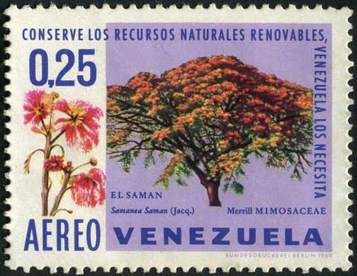 Venezuela - 1969 - Conserve los Recursos Naturales Renovables - Arboles - Saman Samanea saman - 0.25Bs Aereo