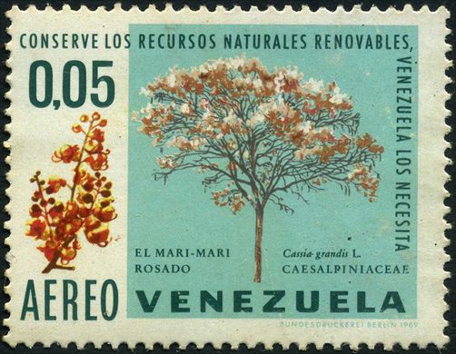 Venezuela - 1969 - Conserve los Recursos Naturales Renovables - Arboles - Mari Mari Rosado Cassia grandis - 0.05Bs Aereo