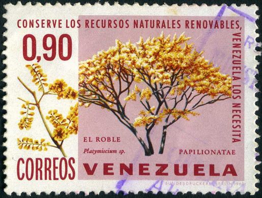 Venezuela - 1969 - Conserve los Recursos Naturales Renovables - Arboles - Roble Platymiscium - 0.90Bs