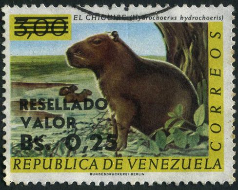 Venezuela - 1970 - Fauna El Chiguire Hydrochoerus hydrochoeris Resellado Valor - 0.25Bs sobre 3Bs