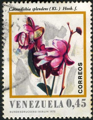 Venezuela - 1970 - Flora - Cavendishia splendens - 0.45Bs