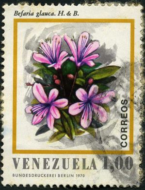 Venezuela - 1970 - Flora - Befaria glauca - 1Bs