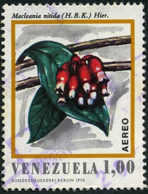Venezuela - 1970 - Flora - Macleania nitida - 1Bs