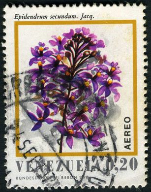 Venezuela - 1970 - Flora - Epidendrum secundum - 0.20Bs