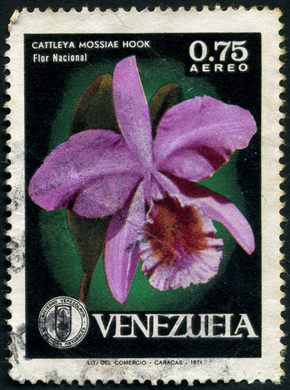 Venezuela - 1971 - Orquideas - Cattleya mossiae Flor Nacional - 0.75Bs