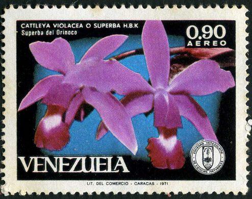 Venezuela - 1971 - Orquideas - Cattleya violacea Superba del Orinoco - 0.90Bs