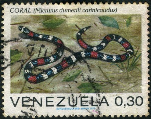 Venezuela - 1972 - Serpentes de Venezuela - Coral Micrurus dumerili carinicaudus - 0.30Bs