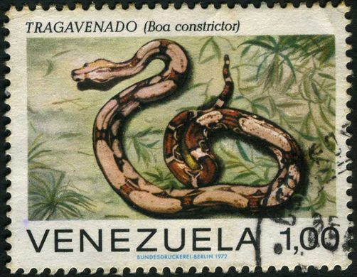 Venezuela - 1972 - Serpentes de Venezuela - Tragavenado Boa constrictor - 1.00Bs