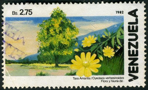 Venezuela - 1982 - Flora y Fauna - Tara Amarilla Oyedaea verbesinoides - 2.75Bs
