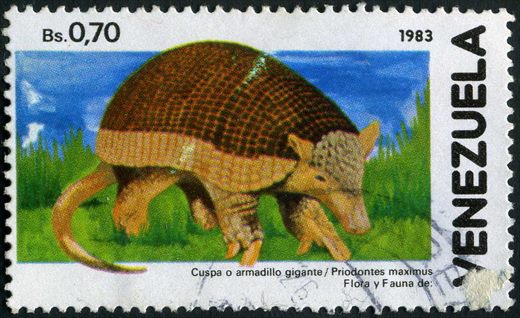 Venezuela - 1983 - Flora y Fauna - Cuspa Armadillo Gigante Priodontes maximus - 0.70Bs