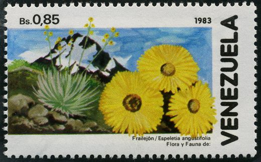 Venezuela - 1983 - Flora y Fauna - Frailejon Espeletia angustifolia - 0.85Bs